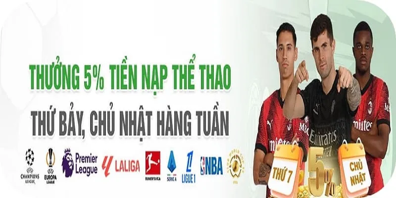 9oki đăng nhập